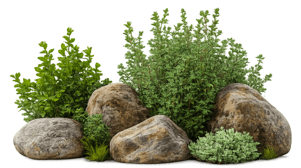 Lush green botanical shrubs and rocks foreground accent