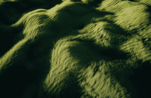 Lush green undulating mossy dunes in soft light